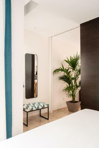 Apartamento Hommyhome Vera-cruz 1900