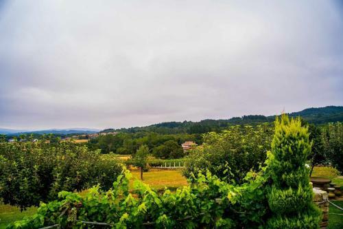Apartamento O Yunque Casa Ferrador Ribeira Sacra