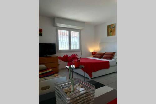 Apartamento Studio Los Globos 50 Mt From Beach - Pool