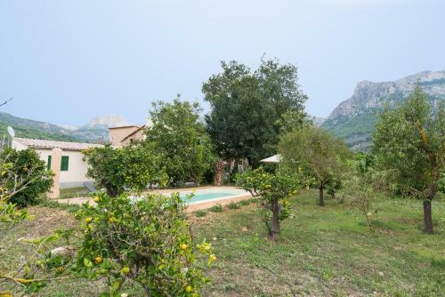 Peaceful And Cozy At Soller Centre