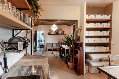 Albergue Wild House Tarifa