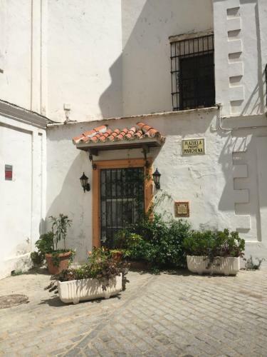 Apartamento El Erizo 4