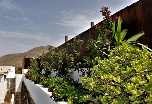 Villa Abraham
