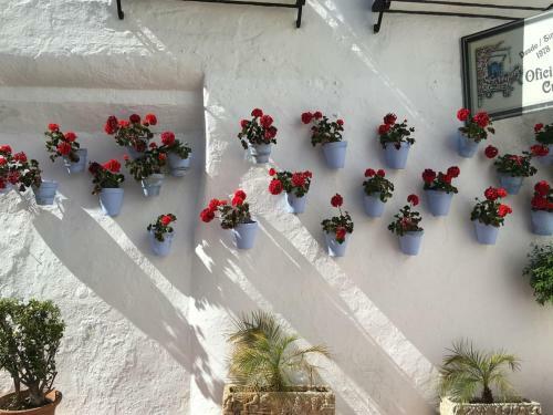 Apartamento Sweet Torremolinos Centro