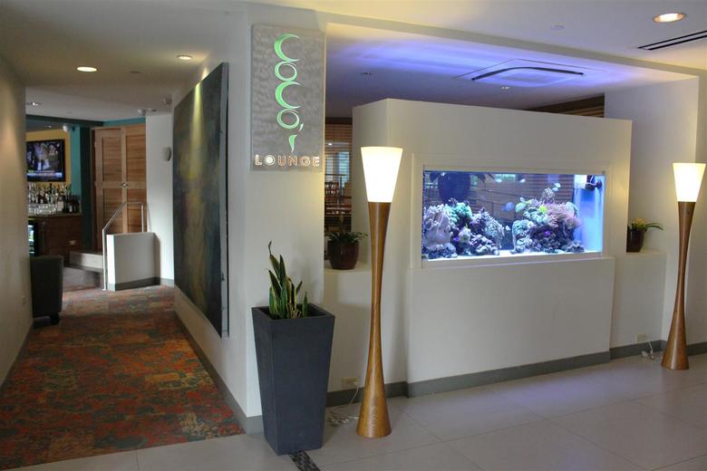 Hotel Best Western Plus Condado Palm Inn & Suites