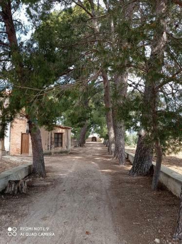Alberg Enric D'oss�