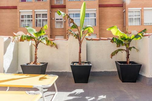 Apartamento My Loft 4 You Sorolla