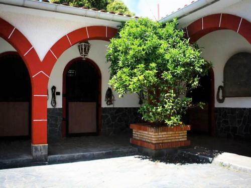 Traditional Villa In O Val, Nar�n With Pool