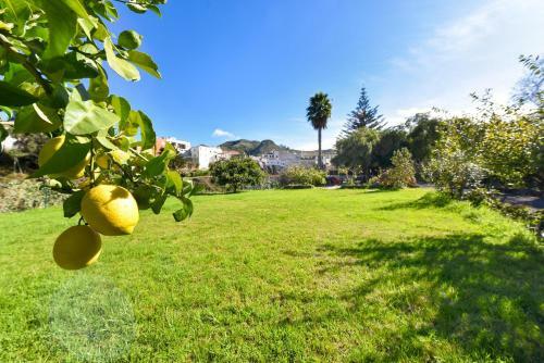 Finca Solis Family Cottage Pm