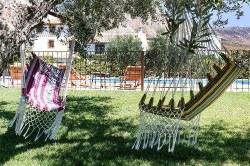 Desconexi�n Entre Olivos Centenarios