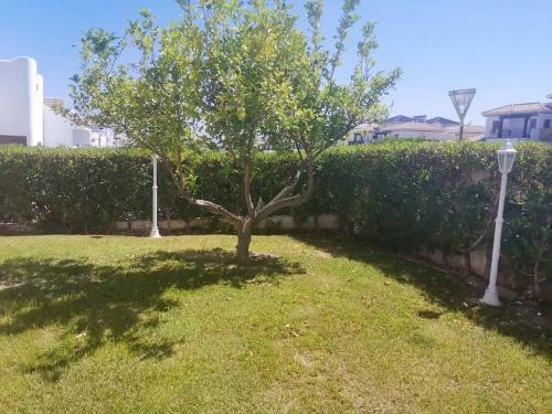 House With 3 Bedrooms In Vera