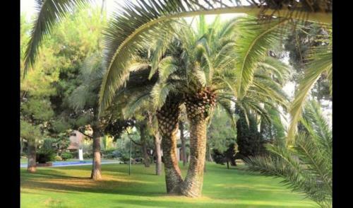 El Vendrell Villa Sleeps 34 With Pool And Air Con