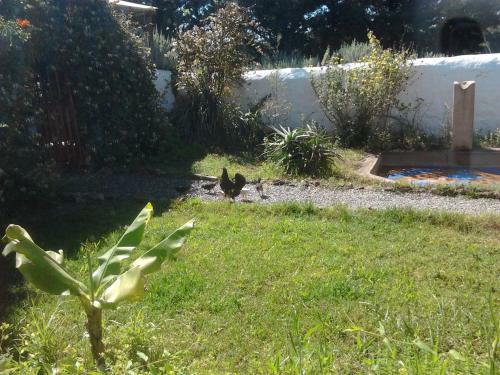 Hostal Quinta Da Fornalha