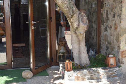 Hostal Quinta Da Boa Ventura
