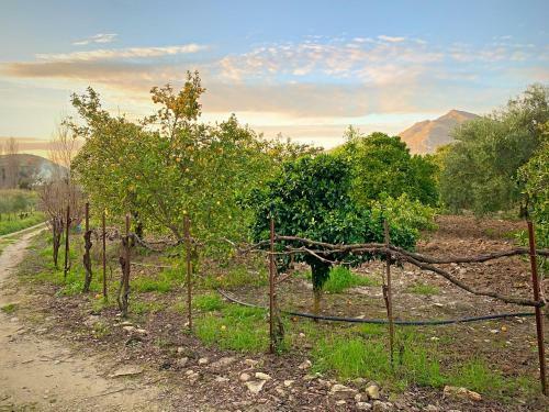 Acogedora Casa Rural En Zahara de La Sierra