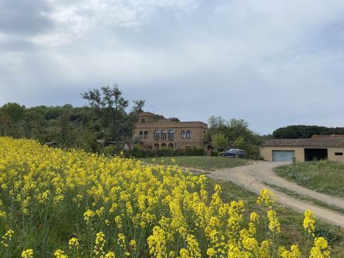 Charming Holiday Home In Vulpellac With Private Pool