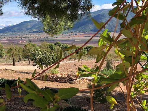 We Love Villas - Villa La Palma