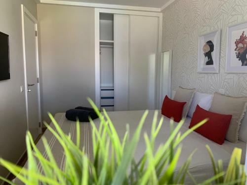 El Apartamento De Concha