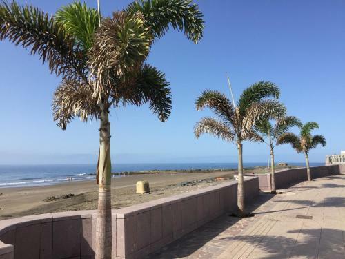 Apartamento Bungalow Hibiscus San Agustin