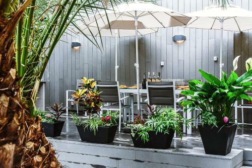 Calypso Boutique Apartments