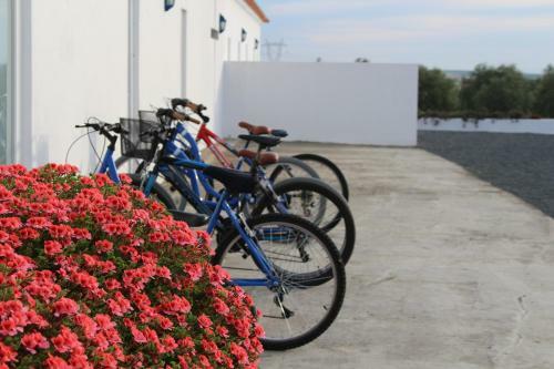 Agroturismo Sesmarias Turismo Rural &amp; Spa