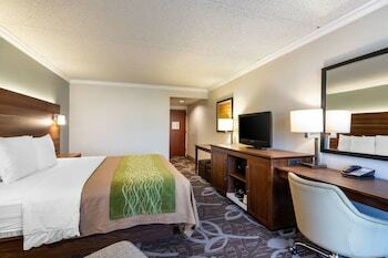 Hotel Comfort Inn & Suites