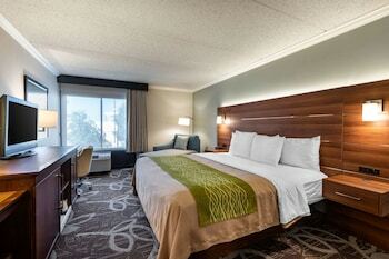 Hotel Comfort Inn & Suites