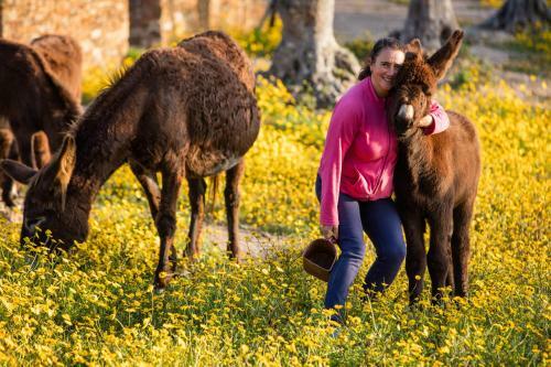 Bed & Breakfast Teima, Alentejo Sw