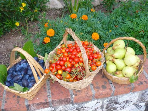 Agroturismo Casas Dos Infantes - Turismo Rural