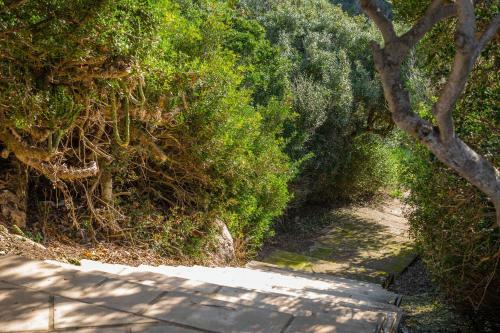 Apartamento Cala En Forcat 34