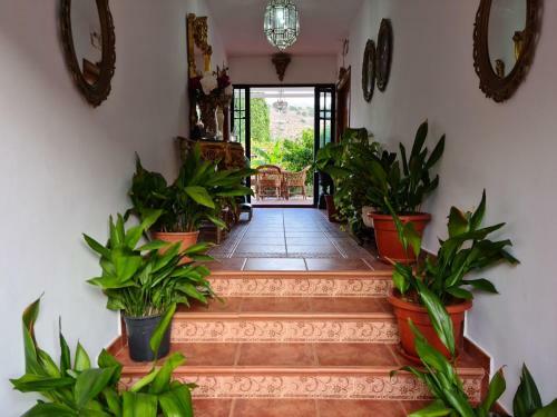 Delightful Villa In Villamena With Private Pool