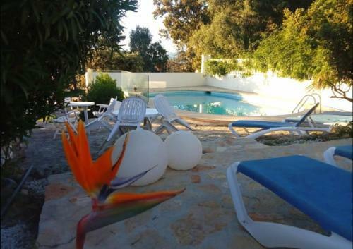 Apartamento Treboll Con Piscina Privada