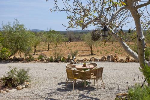 Villa Sa Vinya Des Compte