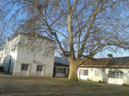 Hotel Rural Quinta Da Torre