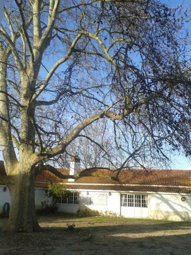 Hotel Rural Quinta Da Torre