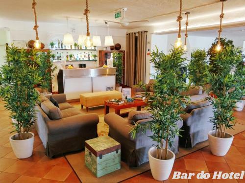 Hotel Da Ameira