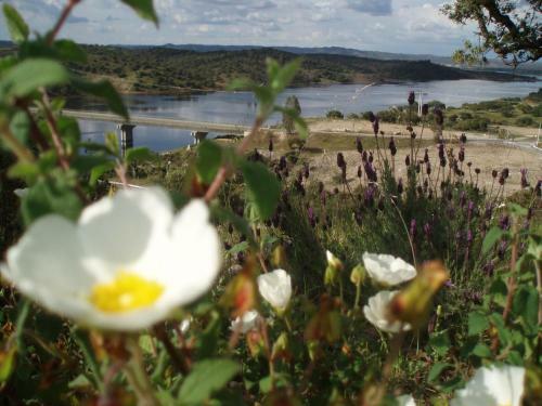 Bed & Breakfast Casa De Pedrogao