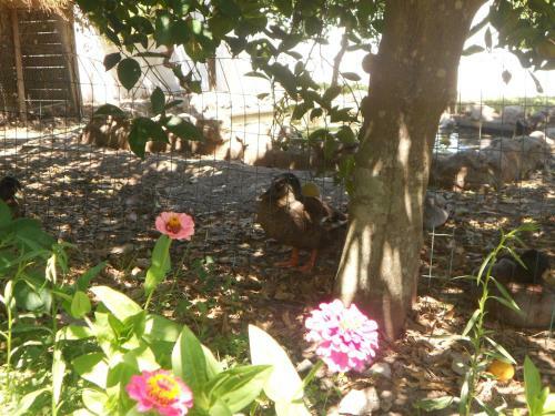 Agroturismo Monte Das Galhanas