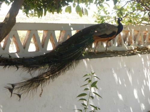 Agroturismo Monte Das Galhanas