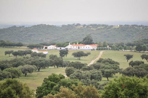 Herdade Da Negrita - Agroturismo