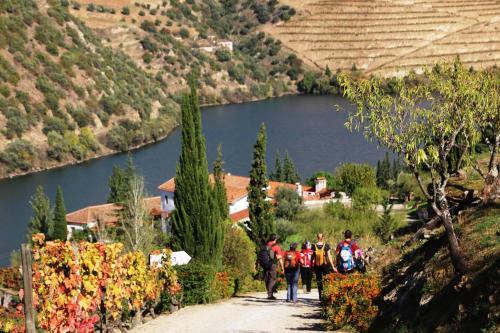 Hostal Douro Fluvina Yachts & Chalets