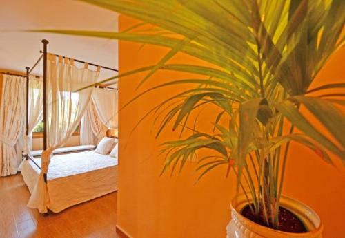 El Toro Villa Sleeps 8 With Pool Air Con And Wifi
