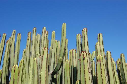 Villa Calypso By Villagrancanaria