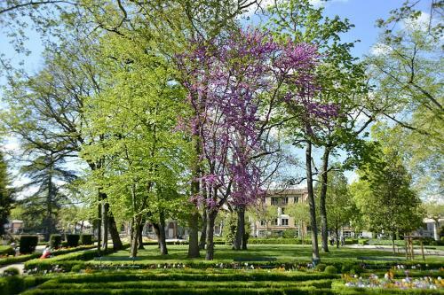 Apartamento Appart H�tel Albi