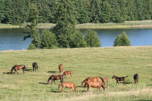 Agroturismo Kombl�wka