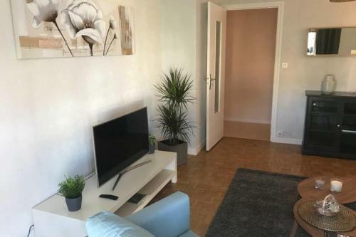 Le Genevois - 2 Bedrooms Apartment