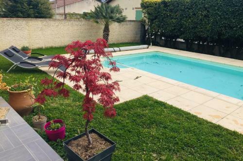 Charming House In Avignon With Swimming Pool