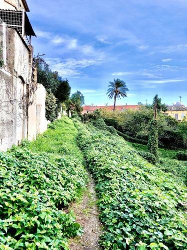 Apartamento Villa Campana - Bastia Centre