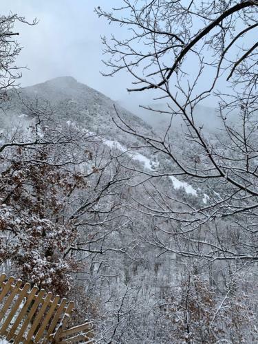 Bed & Breakfast Les Ecrins de Belvedere