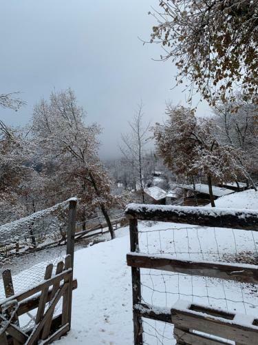 Bed & Breakfast Les Ecrins de Belvedere